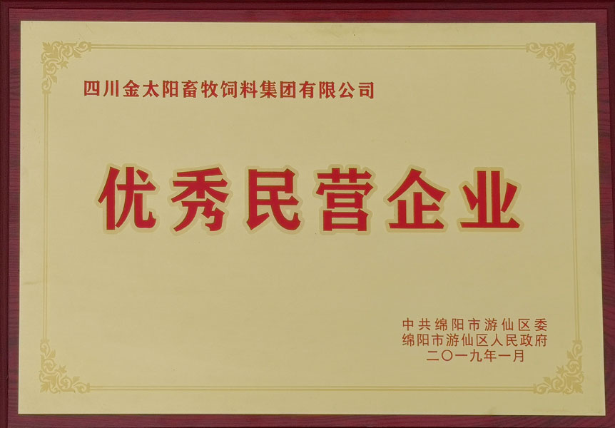 优秀民(mín)营企业 优秀民(mín)营企业